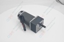 DC Motor with gear head
