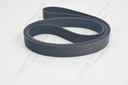 Belt (H axit)