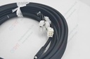 Y BEAR B CABLES ASM XL