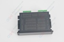 Digital Step Driver