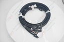 Y BEAR B CABLES ASM XL